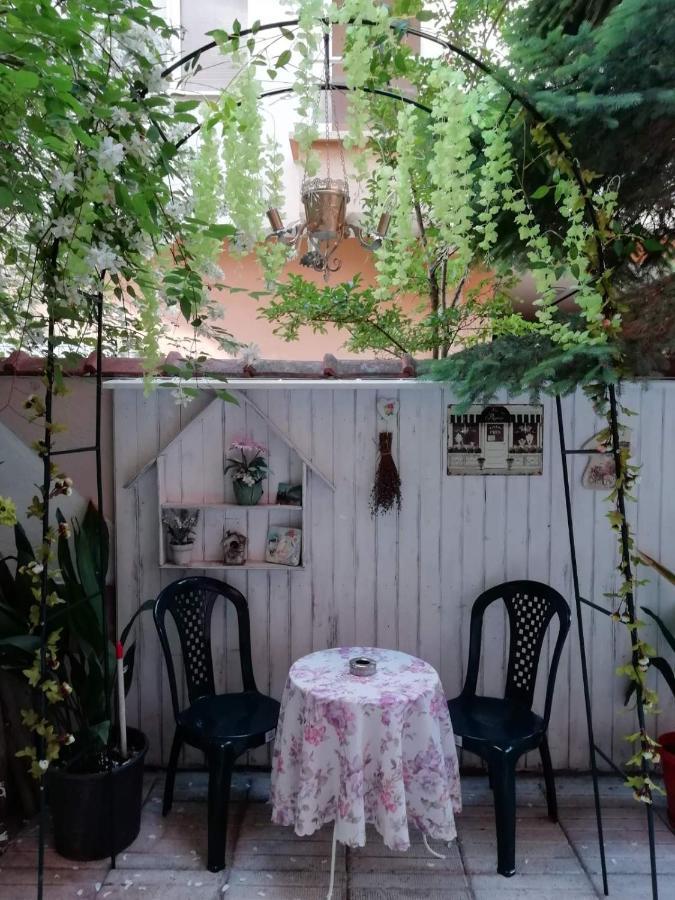 Art Guest House Orchidea Gmina Gmina Pomorie Zewnętrze zdjęcie