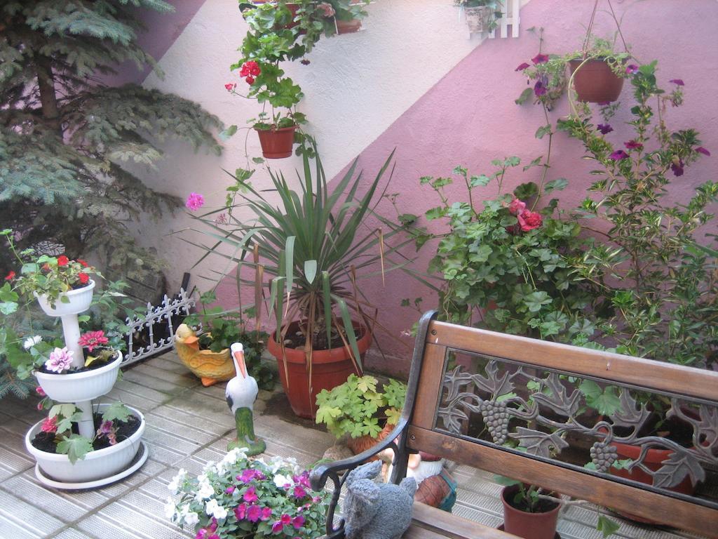 Art Guest House Orchidea Gmina Gmina Pomorie Zewnętrze zdjęcie